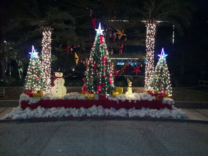 christmas-decorators-delhi-gurgaon-noida-h-3